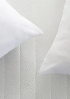 2 Pack Slumberdown Summer Nights Pillows