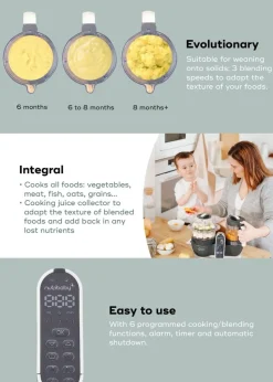 Babymoov Industrial Grey Nutribaby Plus 6 in 1 Baby Food Maker