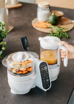 Babymoov Mineral Nutribaby 6 in 1 Baby Food Maker