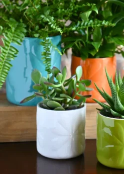 Beau & Elliot Ivory Carnaby Porcelain Embossed Pot Small