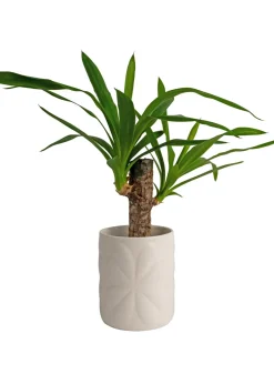 Beau & Elliot Ivory Carnaby Porcelain Embossed Pot Large