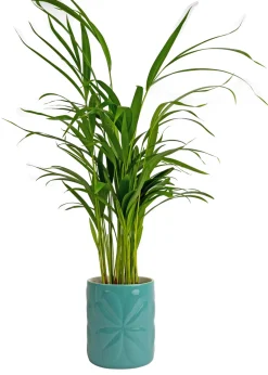 Beau & Elliot Teal Carnaby Porcelain Embossed Pot Large