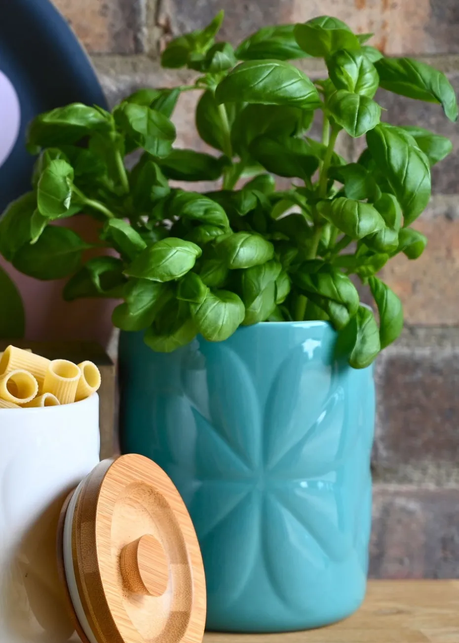 Beau & Elliot Teal Carnaby Porcelain Embossed Pot Large