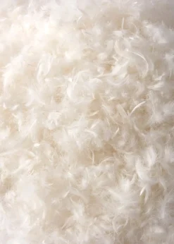 BHS Goose Feather & Down Duvet 10.5 Tog