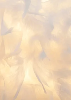 BHS Plume Satin Brass Feather Tripod Table Lamp (48cm x 30cm x 30cm)