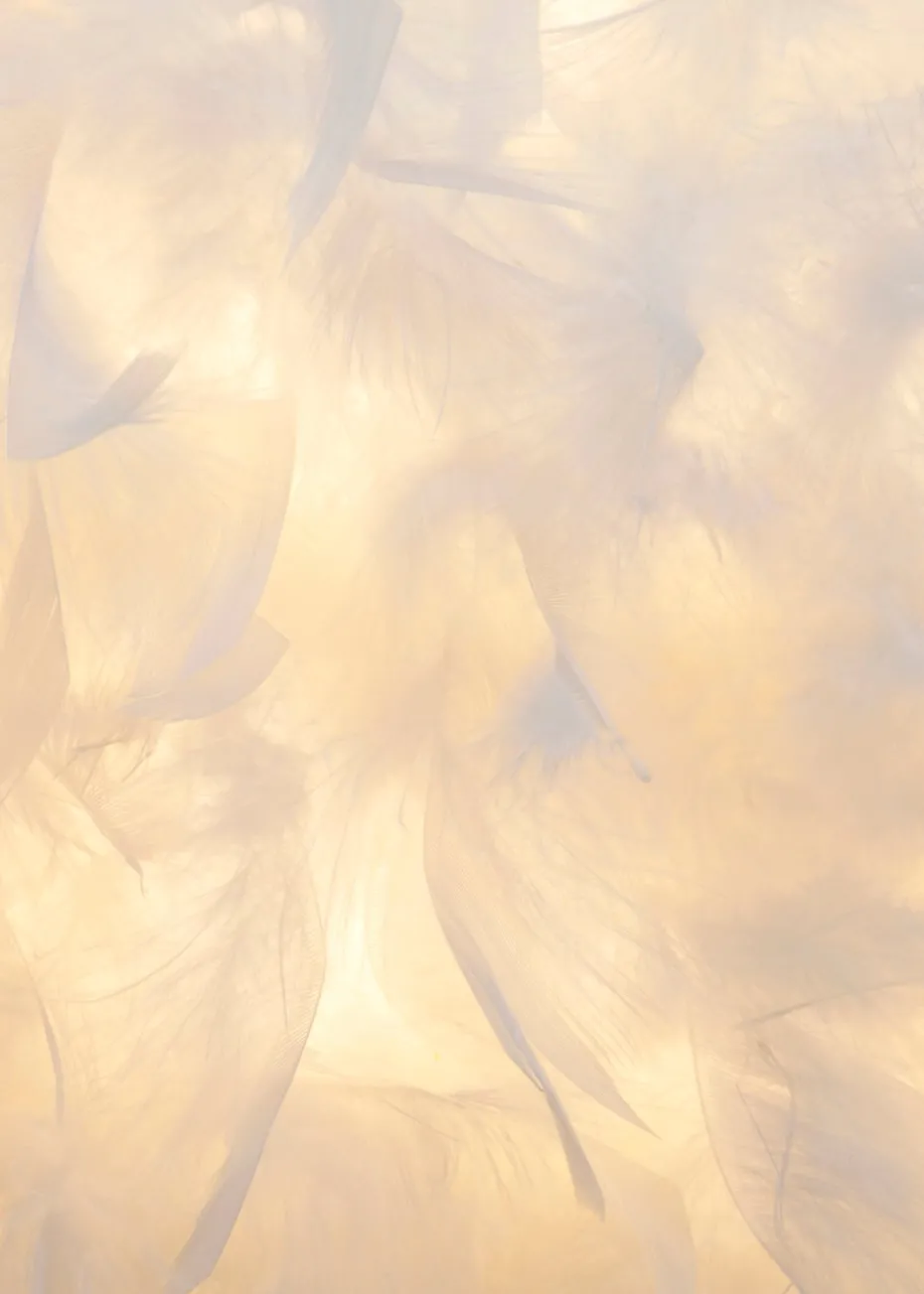 BHS Plume Satin Brass Feather Tripod Table Lamp (48cm x 30cm x 30cm)