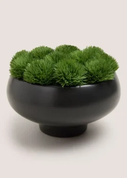 Black Moss Bowl