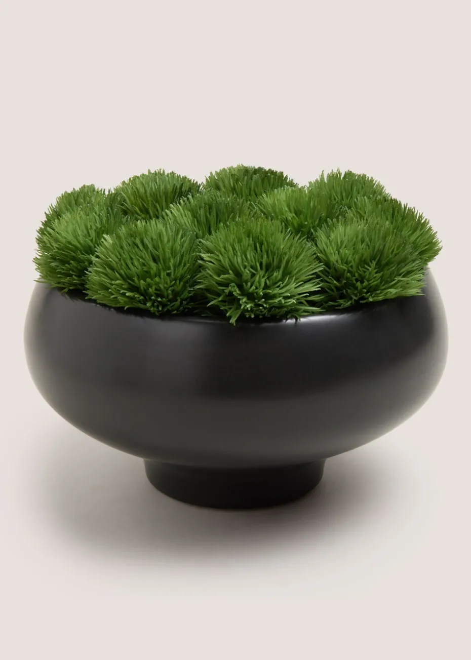 Black Moss Bowl