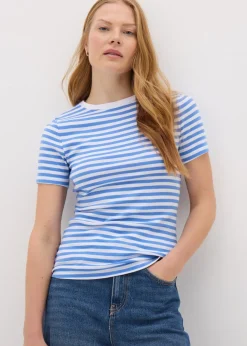 Blue Stripe Fitted T-Shirt