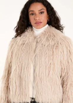 Blue Vanilla Beige Textured Faux Fur Collar Coat