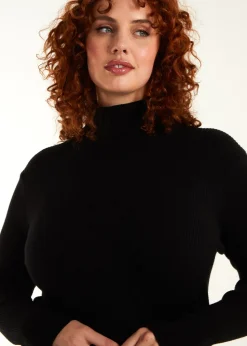 Blue Vanilla Black Curve Ribbed Roll Neck Midi Dress