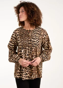 Blue Vanilla Brown Shirred Front Tie Neck Blouse