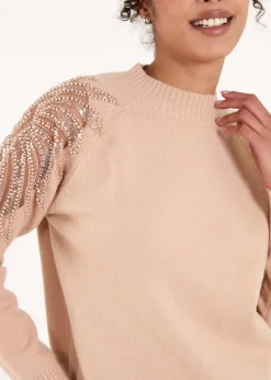 Blue Vanilla Taupe Embroidered Shoulder Knit Jumper