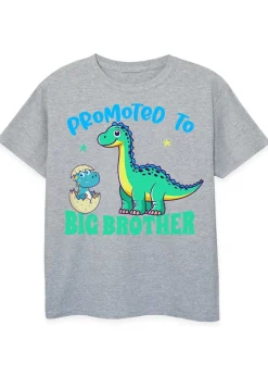 Brands In Promoted To Big Brother Boys Heather Grey T-Shirt