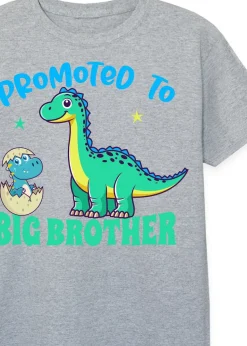 Brands In Promoted To Big Brother Boys Heather Grey T-Shirt