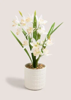 Cream Flowers In Cream Pot