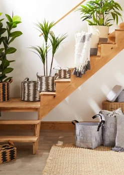 Dark Green Yukka Plant