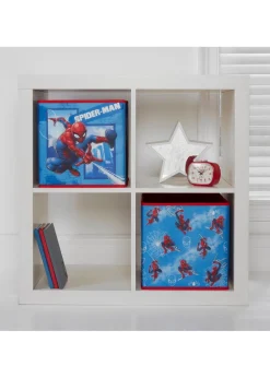 Disney Spider-Man Blue Storage Cubes