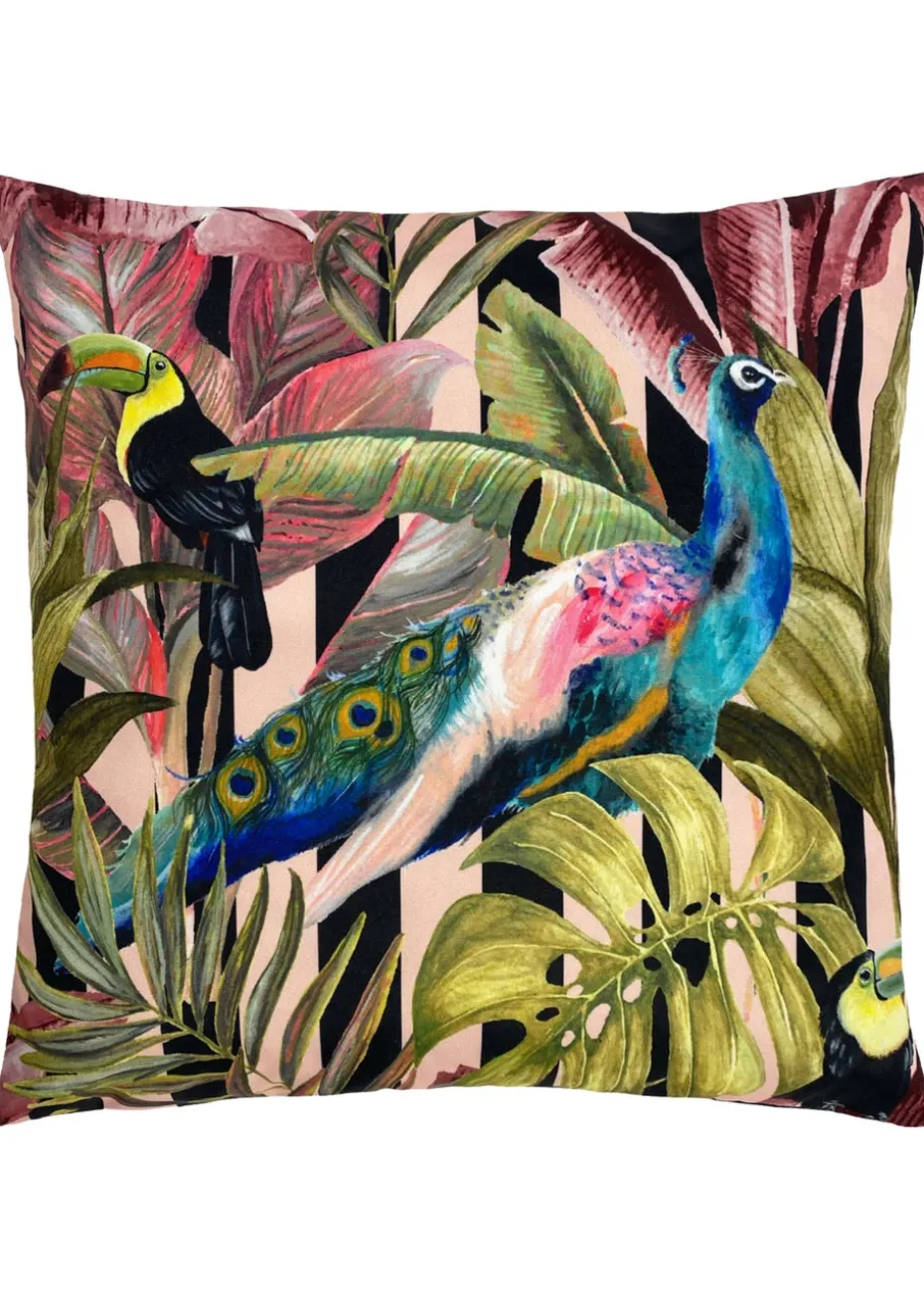 Evans Lichfield Toucan & Peacock Outdoor Filled Cushion (43cm x 43cm x 8cm)