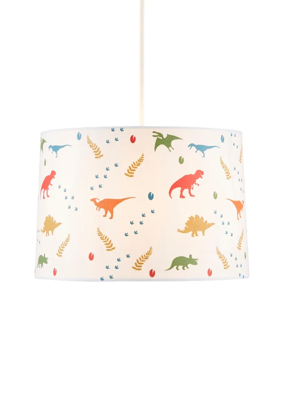 Glow Dinosaur Glow In The Dark Shade (20cm x 30cm)