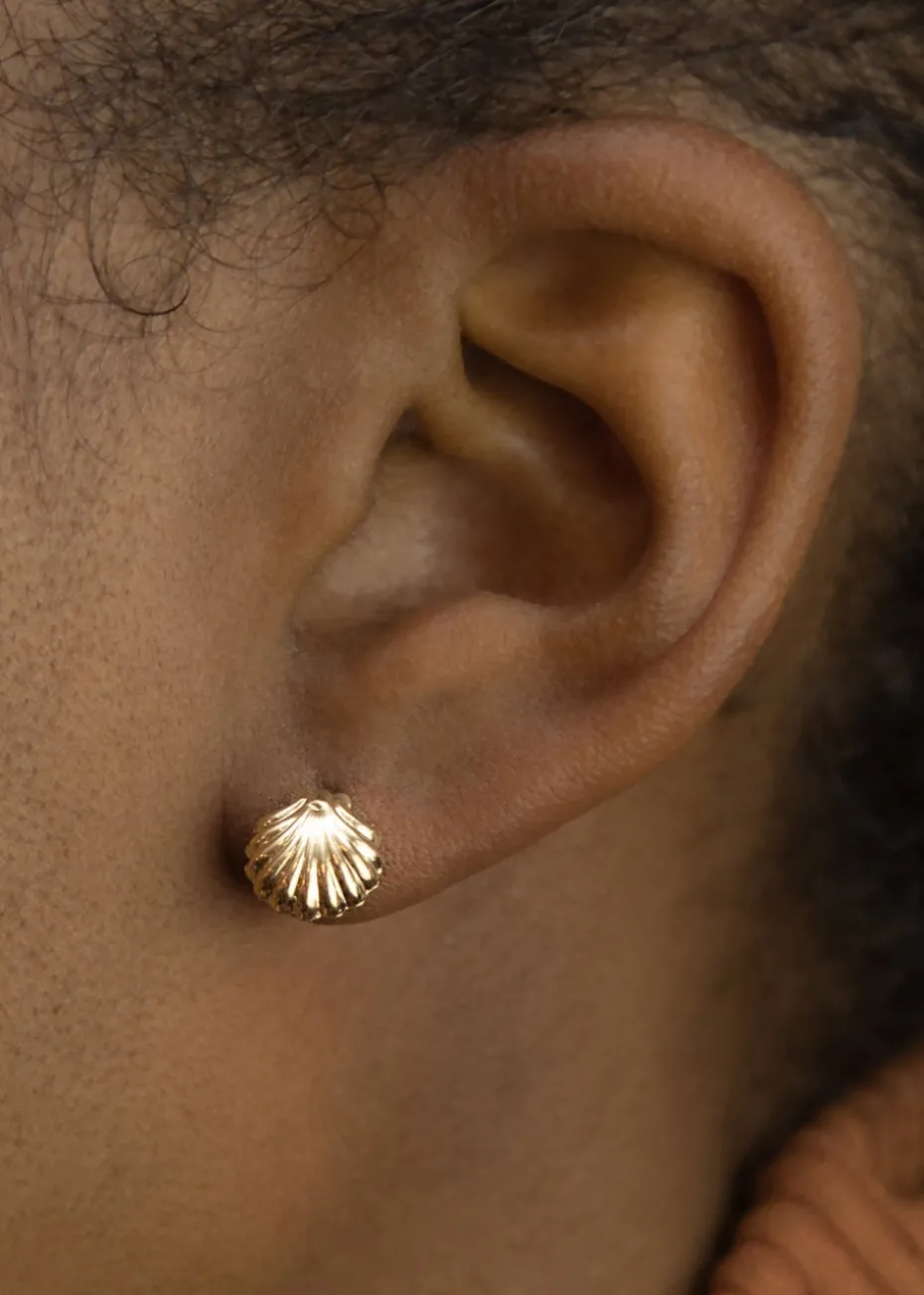 Golden Moments 9ct Yellow Gold Shell Stud Earrings