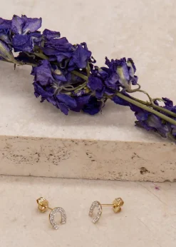 Golden Moments 9ct Yellow Gold CZ Horseshoe Stud Earrings