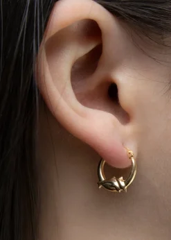 Golden Moments 9ct Yellow Gold Dolphin Creole Earrings