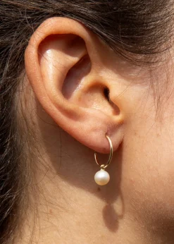 Golden Moments 9ct Yellow Gold Fresh Water Pearl Hoop Drop Earrings