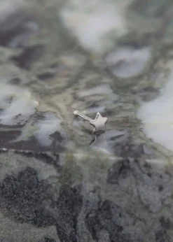 Golden Moments Sterling Silver Polished Star Nose Stud