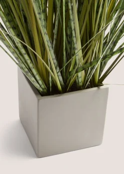Grey Pot With Grass
