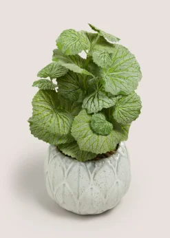 Herb In Artichoke Pot