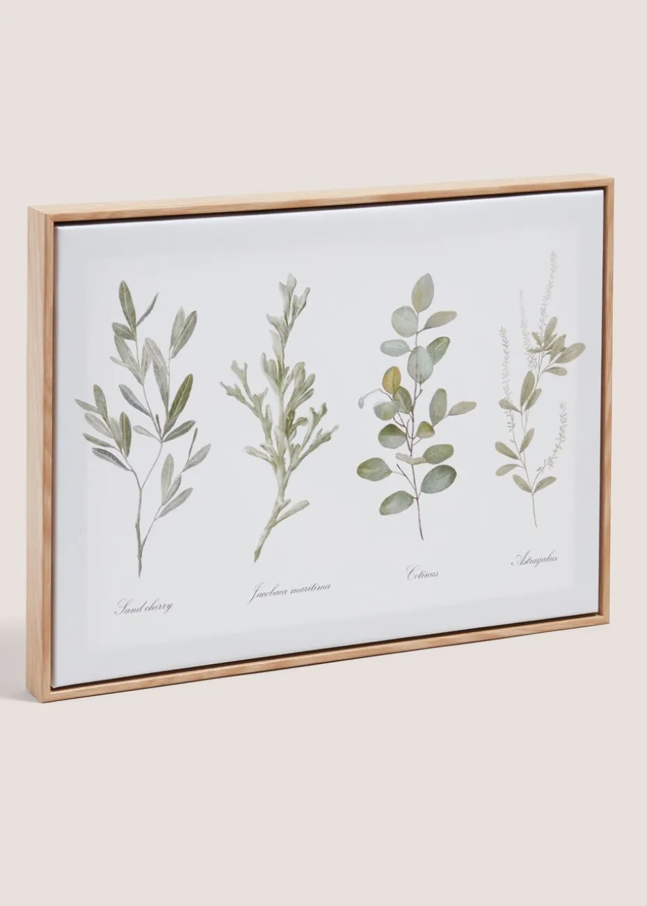 Herb Wall Art