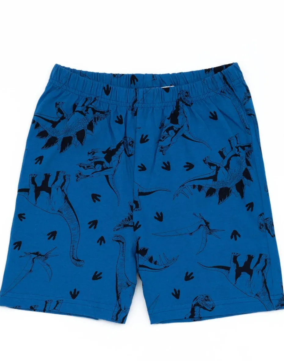 Jurassic World Kids Blue Shortie Pyjamas (3-10 Years)