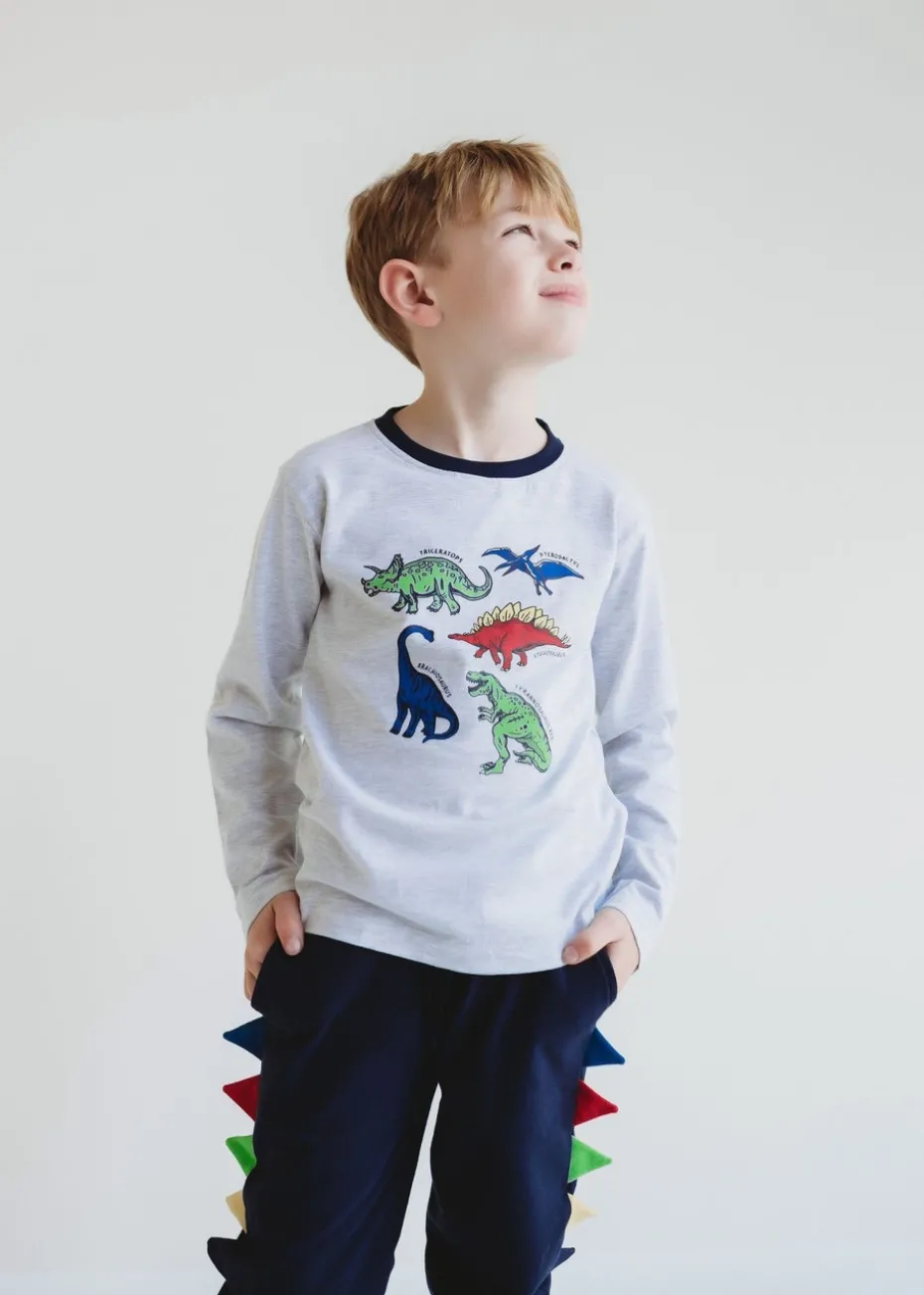 Lilly & Sid Grey Dinosaur Print Top (0-8 Years)