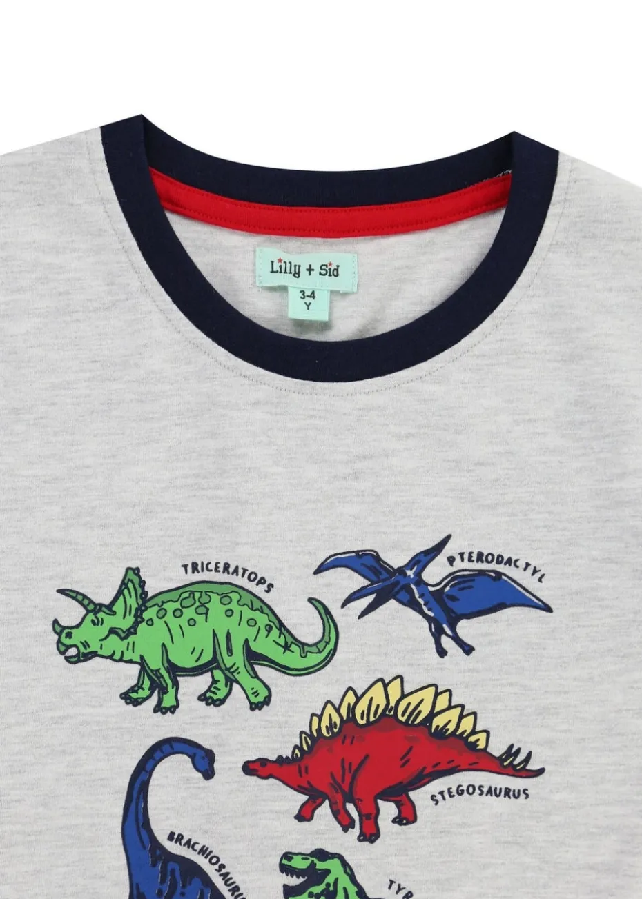 Lilly & Sid Grey Dinosaur Print Top (0-8 Years)