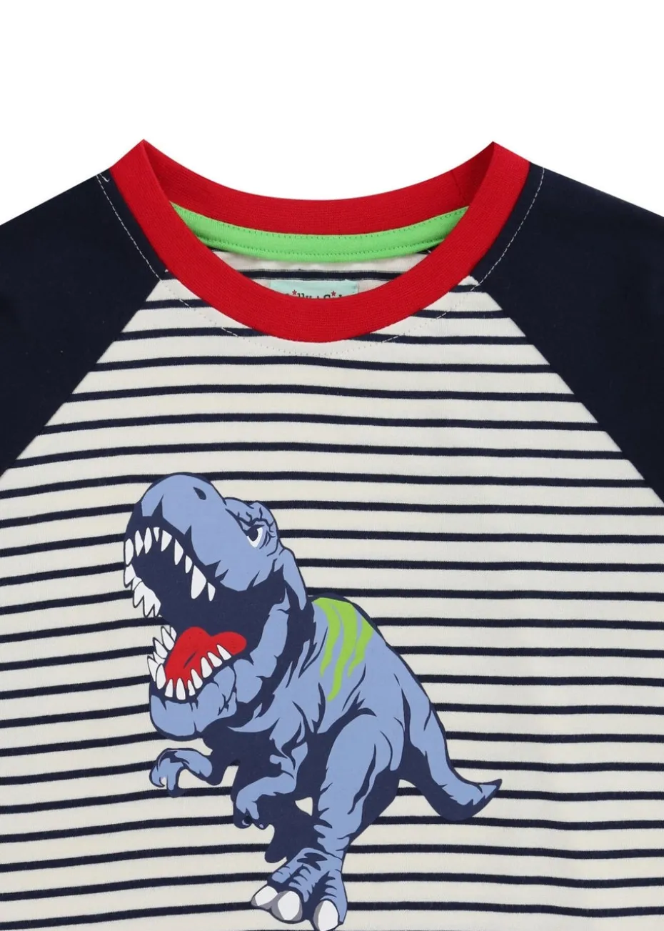 Lilly & Sid Multicoloured Dinosaur Print Top (0-8 Years)