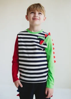 Lilly & Sid Multicoloured Dinosaur Applique Top (6 Months- 7 Years)