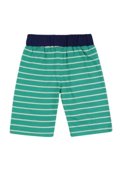 Lilly & Sid Multicoloured Bugs & Stripe Print Short 2 pack (0-8 Years)