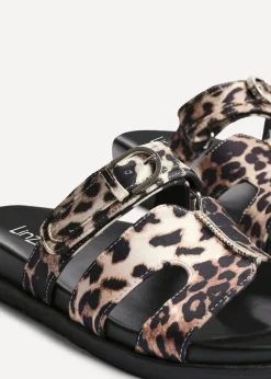 Linzi Rowan Leopard Print Footbed Linked Design Sandal