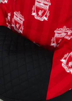 Liverpool High Back Red Lounging Gaming Bean Chair