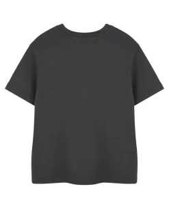 Marvel Spiderman Friendly Neighbourhood Kids Charcoal T-Shirt (2-14 Years)