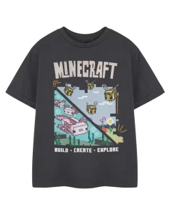 Minecraft Kids Grey Build Create Explore T-Shirt (3-14 Years)
