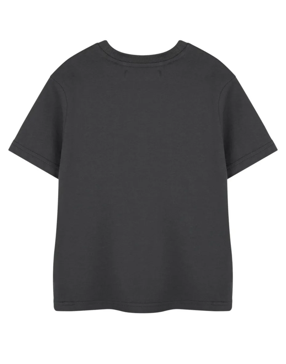 Minecraft Kids Grey Build Create Explore T-Shirt (3-14 Years)