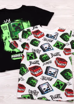 Minecraft Kids Multicoloured Character Pack of 2 T-Shirt (5-14 Years)