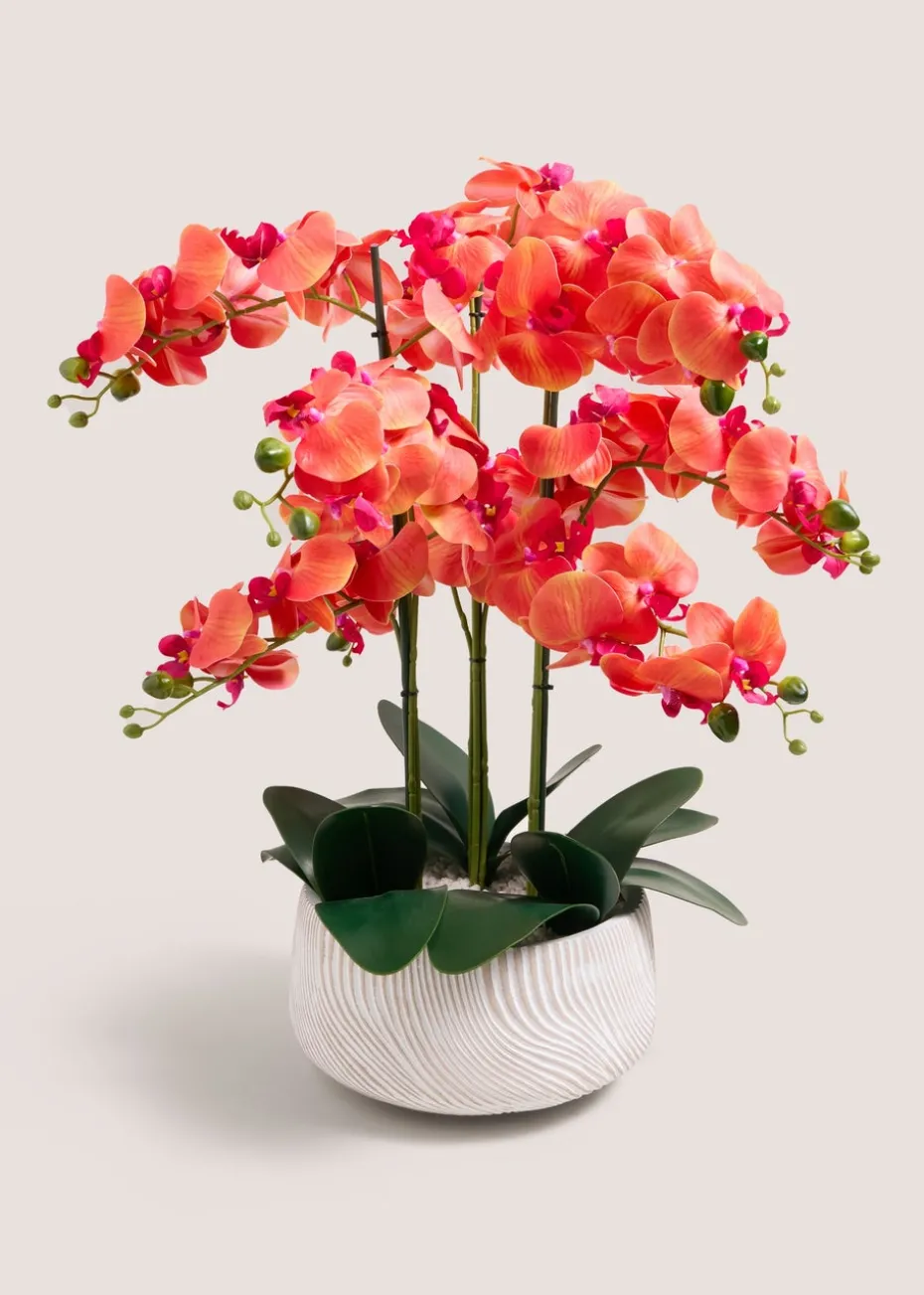 Orange Orchid In Ceramic Pot