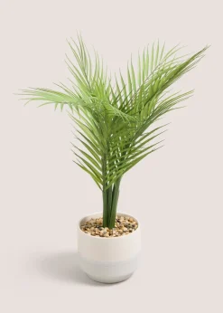 Palm Leaf In Reactive Pot