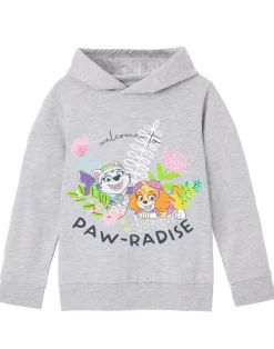 Paw Patrol Paw Radise Kids Grey Marl Hoodie (3-8 years)