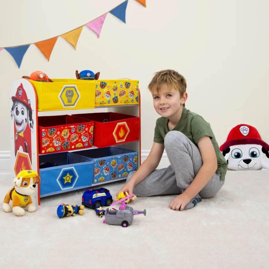 Paw Patrol Pig Multi Storage Unit