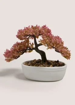 Peach Bonsai