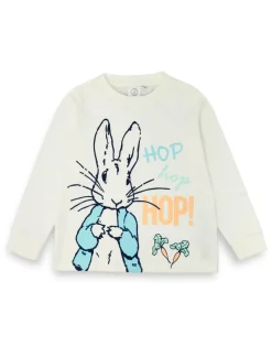 Peter Rabbit Kids Blue Print Pyjamas (12 Months - 4 Years)